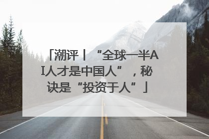 潮评丨“全球一半AI人才是中国人”，秘诀是“投资于人”