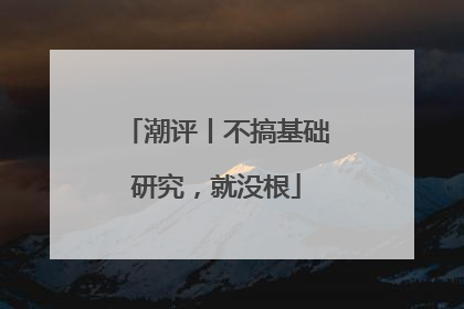 潮评丨不搞基础研究，就没根