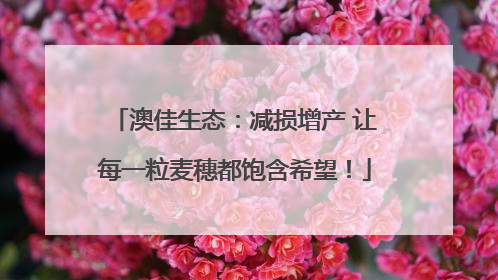 澳佳生态：减损增产 让每一粒麦穗都饱含希望！