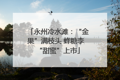 永州冷水滩：“金果”满枝头 蜂糖李“甜蜜”上市