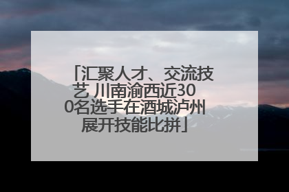 汇聚人才、交流技艺 川南渝西近300名选手在酒城泸州展开技能比拼
