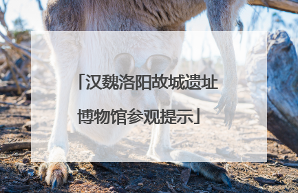 汉魏洛阳故城遗址博物馆参观提示