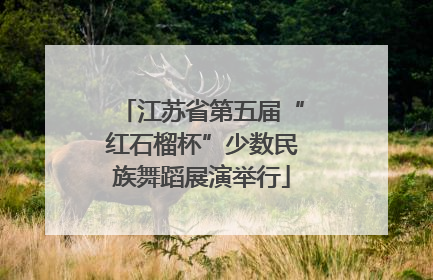 江苏省第五届“红石榴杯”少数民族舞蹈展演举行