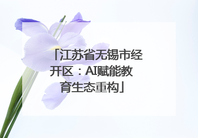 江苏省无锡市经开区：AI赋能教育生态重构