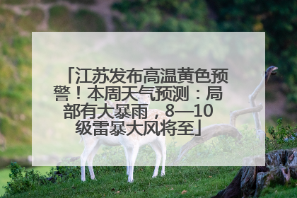 江苏发布高温黄色预警！本周天气预测：局部有大暴雨，8—10级雷暴大风将至