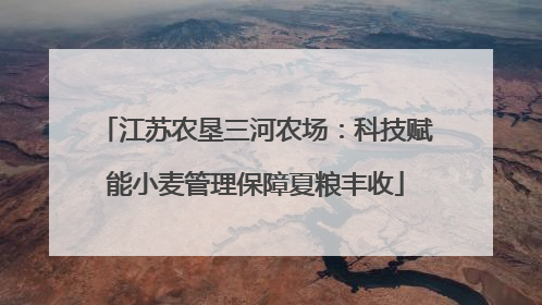 江苏农垦三河农场：科技赋能小麦管理保障夏粮丰收