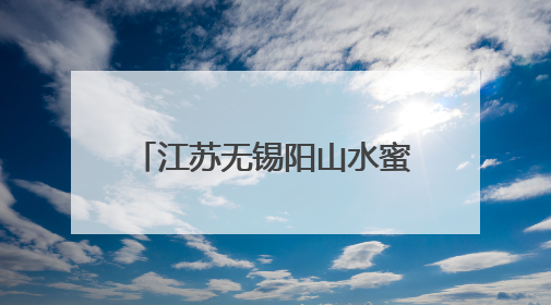 江苏无锡阳山水蜜桃首发 小桃子做出乡村振兴大文章