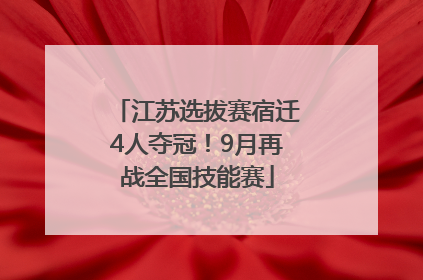 江苏选拔赛宿迁4人夺冠！9月再战全国技能赛