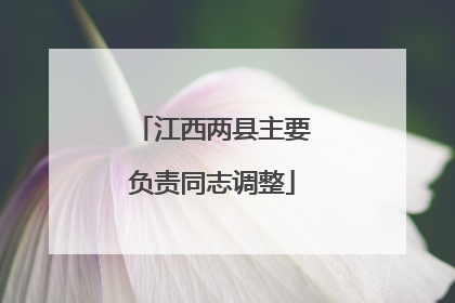 江西两县主要负责同志调整