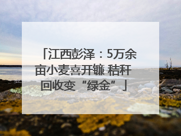 江西彭泽：5万余亩小麦喜开镰 秸秆回收变“绿金”