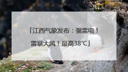 江西气象发布：强雷电！雷暴大风！最高38℃