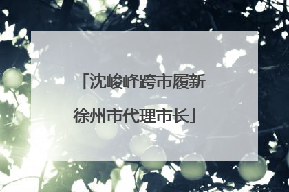 沈峻峰跨市履新徐州市代理市长