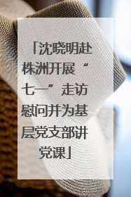 沈晓明赴株洲开展“七一”走访慰问并为基层党支部讲党课