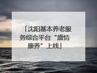 沈阳基本养老服务综合平台“盛情康养”上线