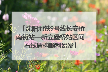 沈阳地铁9号线长安桥南街站—新立堡桥站区间右线盾构顺利始发