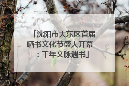 沈阳市大东区首届晒书文化节盛大开幕：千年文脉遇书