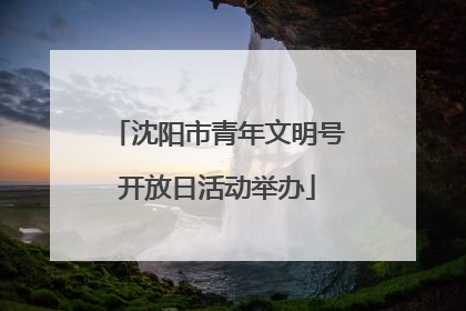 沈阳市青年文明号开放日活动举办