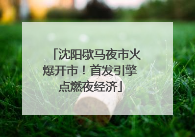 沈阳歇马夜市火爆开市！首发引擎点燃夜经济