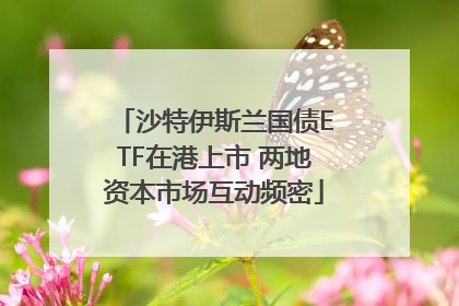 沙特伊斯兰国债ETF在港上市 两地资本市场互动频密