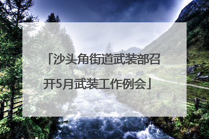 沙头角街道武装部召开5月武装工作例会