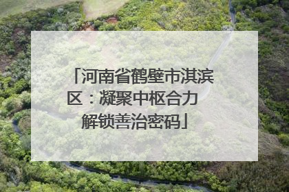 河南省鹤壁市淇滨区：凝聚中枢合力 解锁善治密码