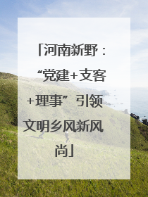 河南新野：“党建+支客+理事”引领文明乡风新风尚