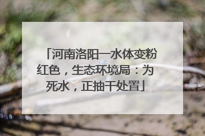 河南洛阳一水体变粉红色，生态环境局：为死水，正抽干处置