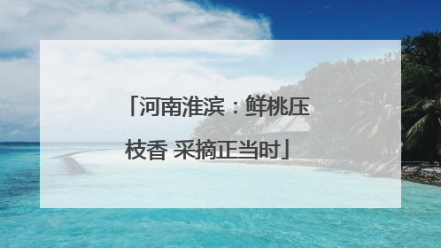 河南淮滨：鲜桃压枝香 采摘正当时