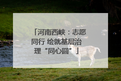 河南西峡：志愿同行 绘就基层治理“同心圆”
