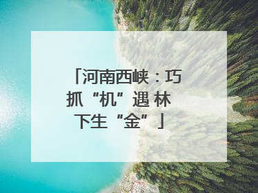河南西峡：巧抓“机”遇 林下生“金”