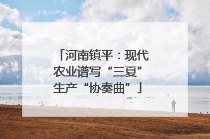 河南镇平：现代农业谱写“三夏”生产“协奏曲”