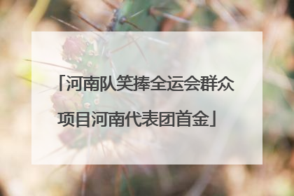 河南队笑捧全运会群众项目河南代表团首金