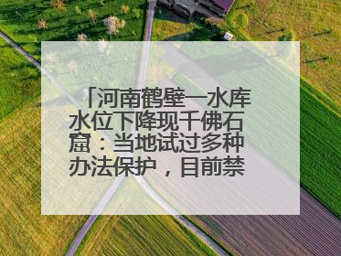 河南鹤壁一水库水位下降现千佛石窟：当地试过多种办法保护，目前禁止打卡