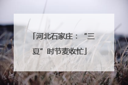 河北石家庄：“三夏”时节麦收忙