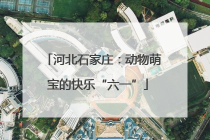 河北石家庄：动物萌宝的快乐“六一”