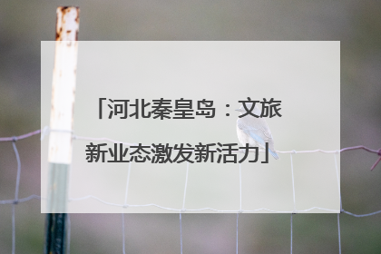 河北秦皇岛：文旅新业态激发新活力