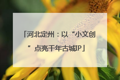 河北定州：以“小文创”点亮千年古城IP