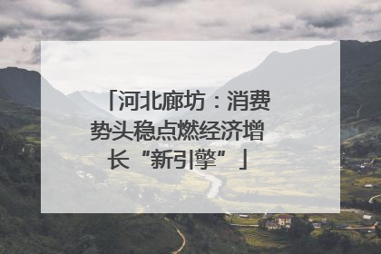 河北廊坊：消费势头稳点燃经济增长“新引擎”