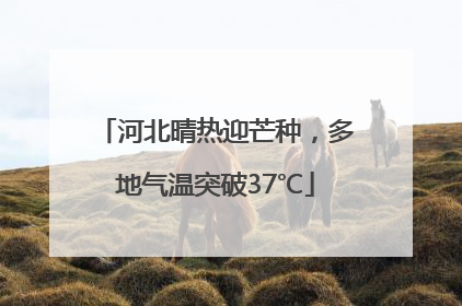 河北晴热迎芒种，多地气温突破37℃