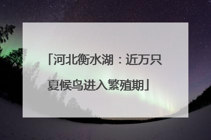 河北衡水湖：近万只夏候鸟进入繁殖期