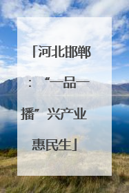 河北邯郸：“一品一播”兴产业惠民生