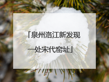 泉州洛江新发现一处宋代窑址