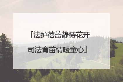 法护蓓蕾静待花开 司法育苗情暖童心
