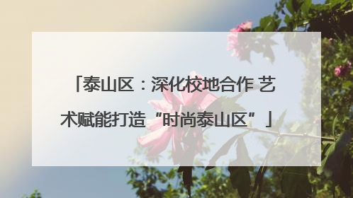 泰山区：深化校地合作 艺术赋能打造“时尚泰山区”