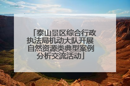泰山景区综合行政执法局机动大队开展自然资源类典型案例分析交流活动