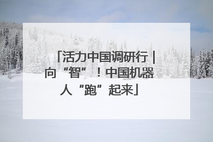 活力中国调研行｜向“智”！中国机器人“跑”起来