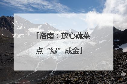 洛南：放心蔬菜点“绿”成金