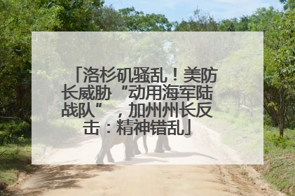 洛杉矶骚乱！美防长威胁“动用海军陆战队”，加州州长反击：精神错乱