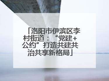 洛阳市伊滨区李村街道：“党建+公约”打造共建共治共享新格局