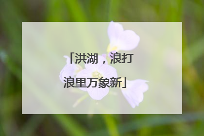 洪湖，浪打浪里万象新
